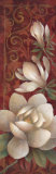Magnolia Melody I