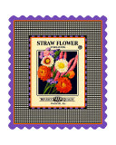 Strawflower Seed Pack