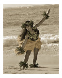 Hula Hawaii 1