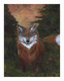 Red Fox