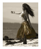 Hula Hawaii 8