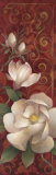 Magnolia Melody II