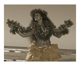 Hula Hawaii 2