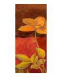 Bold In Blum Tall II