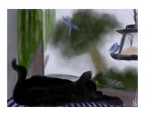 Cat Dreaming