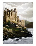 Adkins Castle