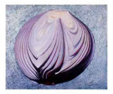 Sliced Red Onion