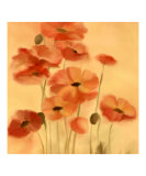 Red Poppies