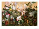 Fairies Round a Bird's Nest  the Distressed Mother