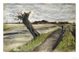 Pollard Willow
