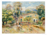 Collettes Farmhouse  Cagnes  La Ferme De Collettes  Cagnes  1910