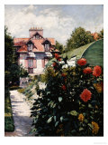 Dahlias  Petit Gennevilliers Garden