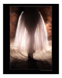 The Shape of Light