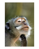 Deep In Thought
