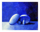 Blue Shitakes