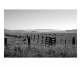 Old Fence Sierra Valley Ca