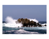Monterey Coast