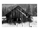 Old Barn Near Sierraville Ca
