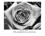 But to Love