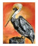 072806 Mr Brown Pelican