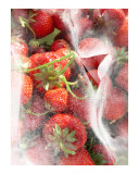 Hommage to Rodin's Eternelle Idole - Variation Strawberry Ice