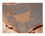 Petroglyph  Two Big Horn Sheep