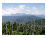 Smoky Mountain Serenity III