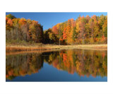 Autumn Evening  McLean Swamp