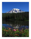 Mt Rainier's Garden