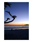 Days End Carmel Ca