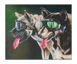 Dogs