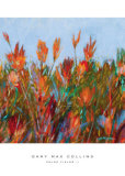 Color Fields II