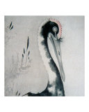Red Crowned Japanese Crane