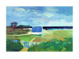 Blaue Hoftuer