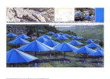 The Blue Umbrellas I