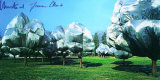 Wrapped Trees No 11 - Signed