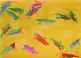 Grasshoppers