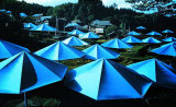 Umbrellas No 12  1991 - Signed
