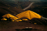 Umbrellas No 10  1991