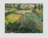 Field of Poppies  Saint-Remy  c1889