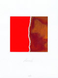 Zerrissen Rot