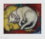 The White Cat