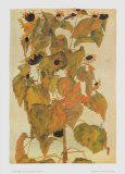 Sunflowers  1911