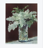 White Lilac in Glass Vase