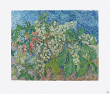 Blossoming Chestnut Branches  c1890