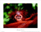 Monkey Business