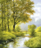 Dreamy Creek II