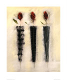 Black and White Roses III