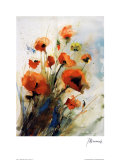 Mohn