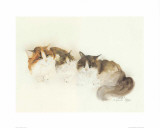 Katzen